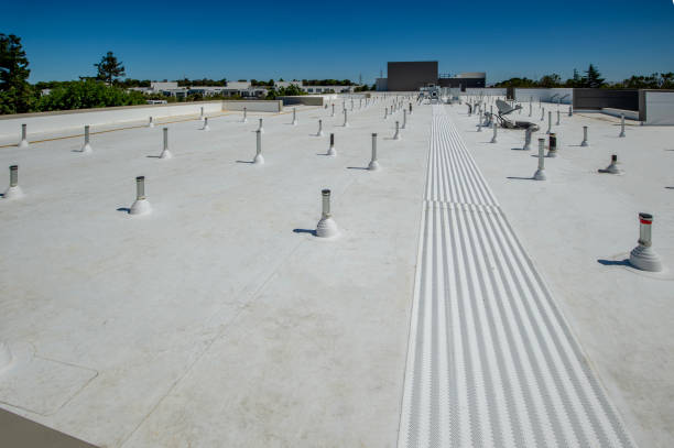 Best Gutter Installation and Repair  in Kill Devil Hills, NC